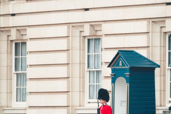 Kraljevski zaštitar Buckginamske palače